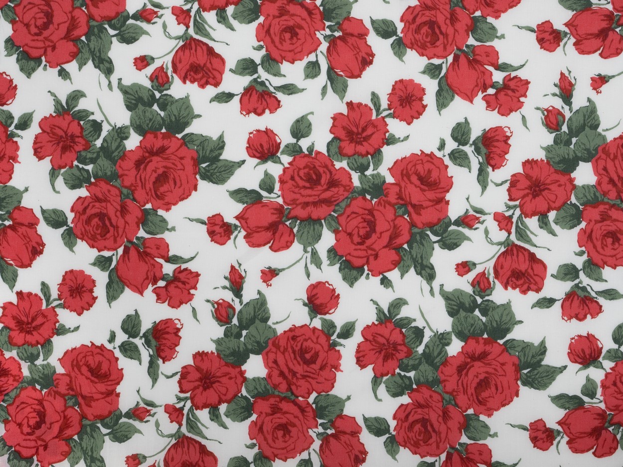 Carline Rose A (Web)