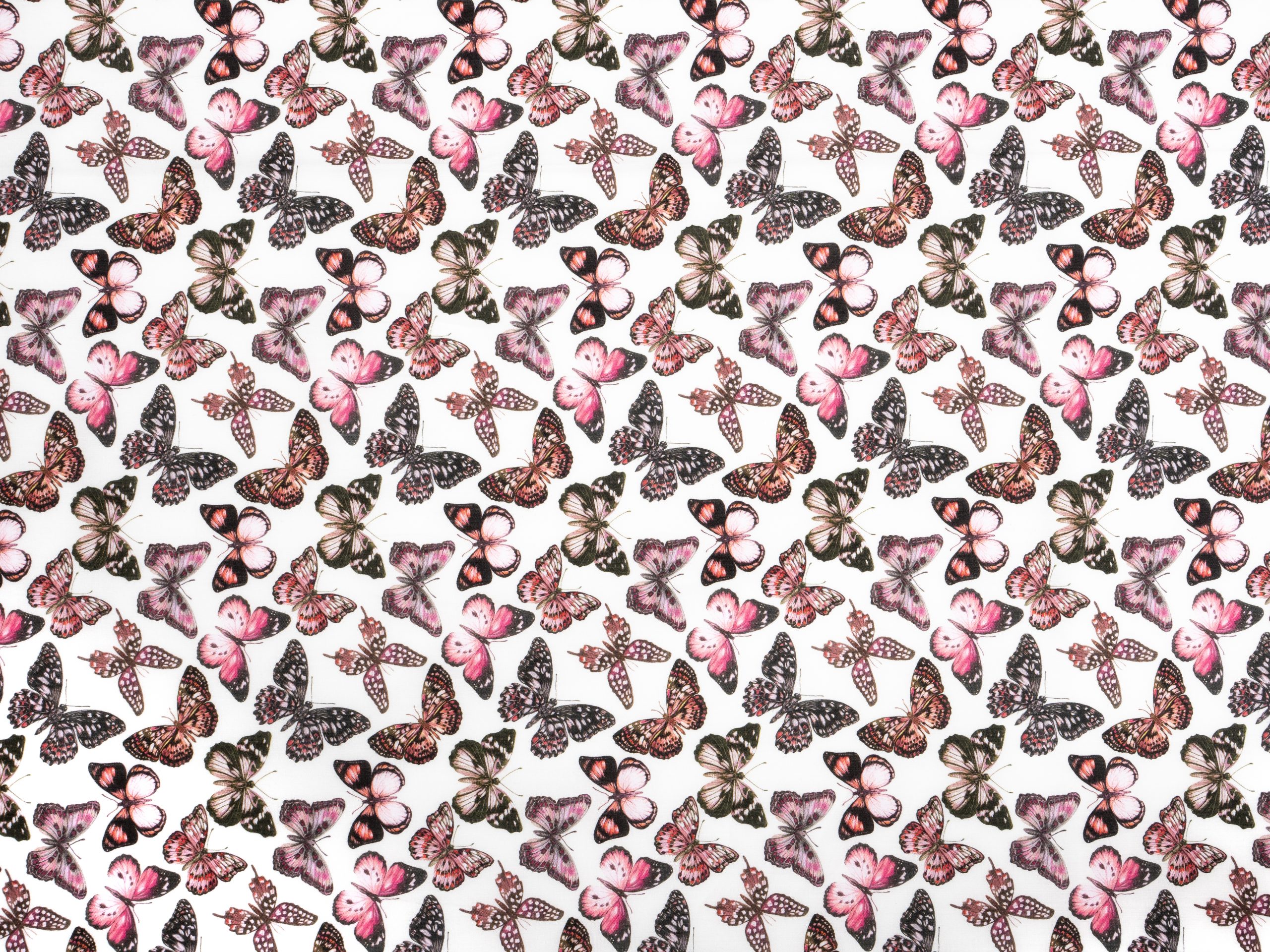 Julie Butterfly C Tana Lawn® Cotton Shaukat Fabrics