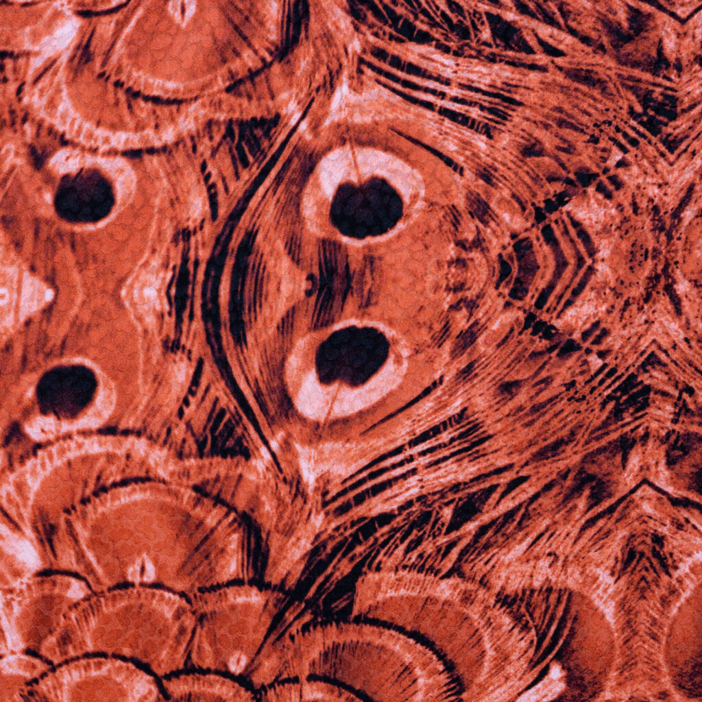 SATIN PRINCESS PEACOCOK ORANGE