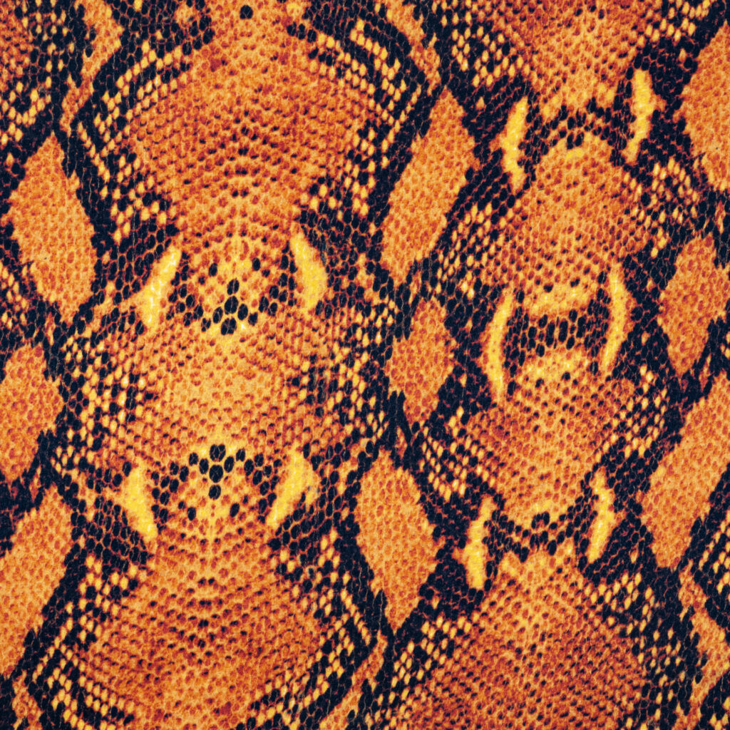 SATIN SLYTHERIN ORANGE