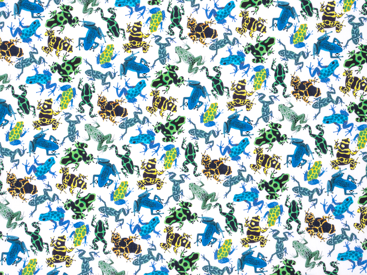 DART FROGS B