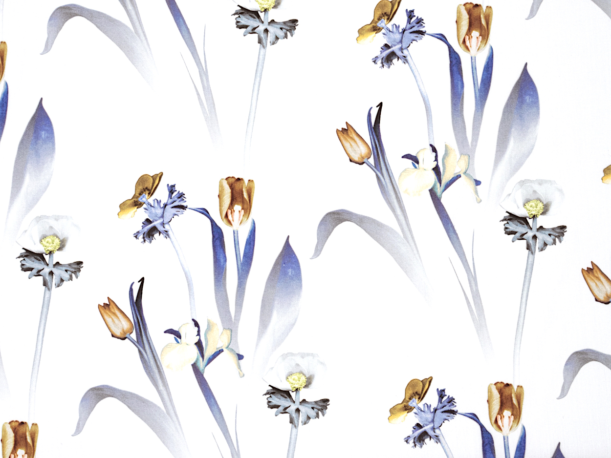 HEALING FLORAL C