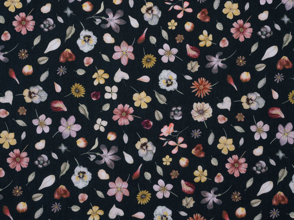 PHLYS FLOWER A