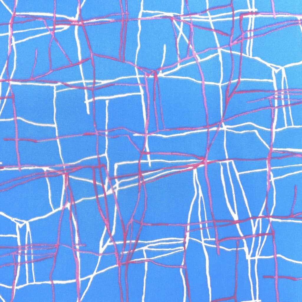 A POLY SMOOTH SCRIBBLE BLUE IMG_6434