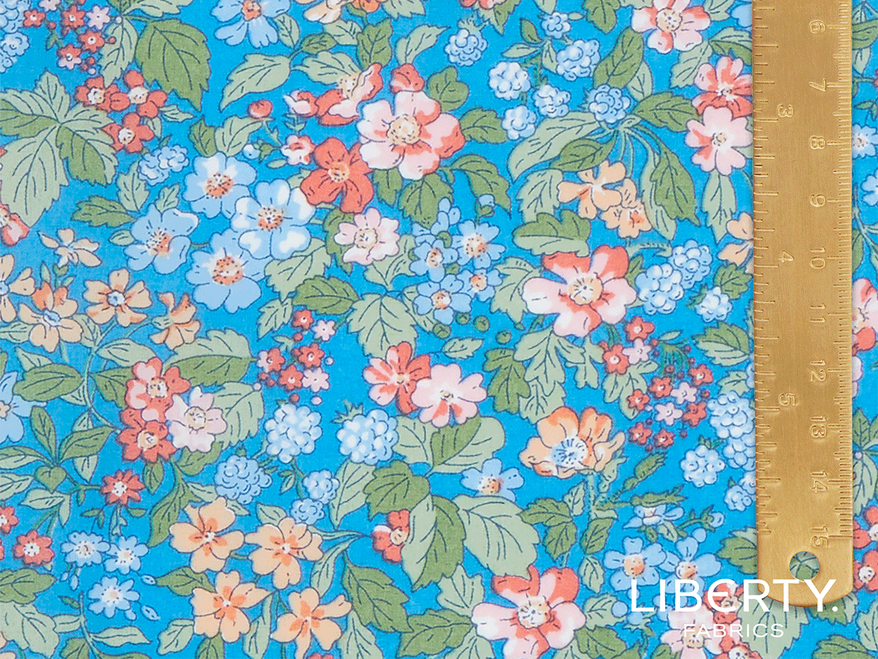 03634106A-6hedgerow-ramble