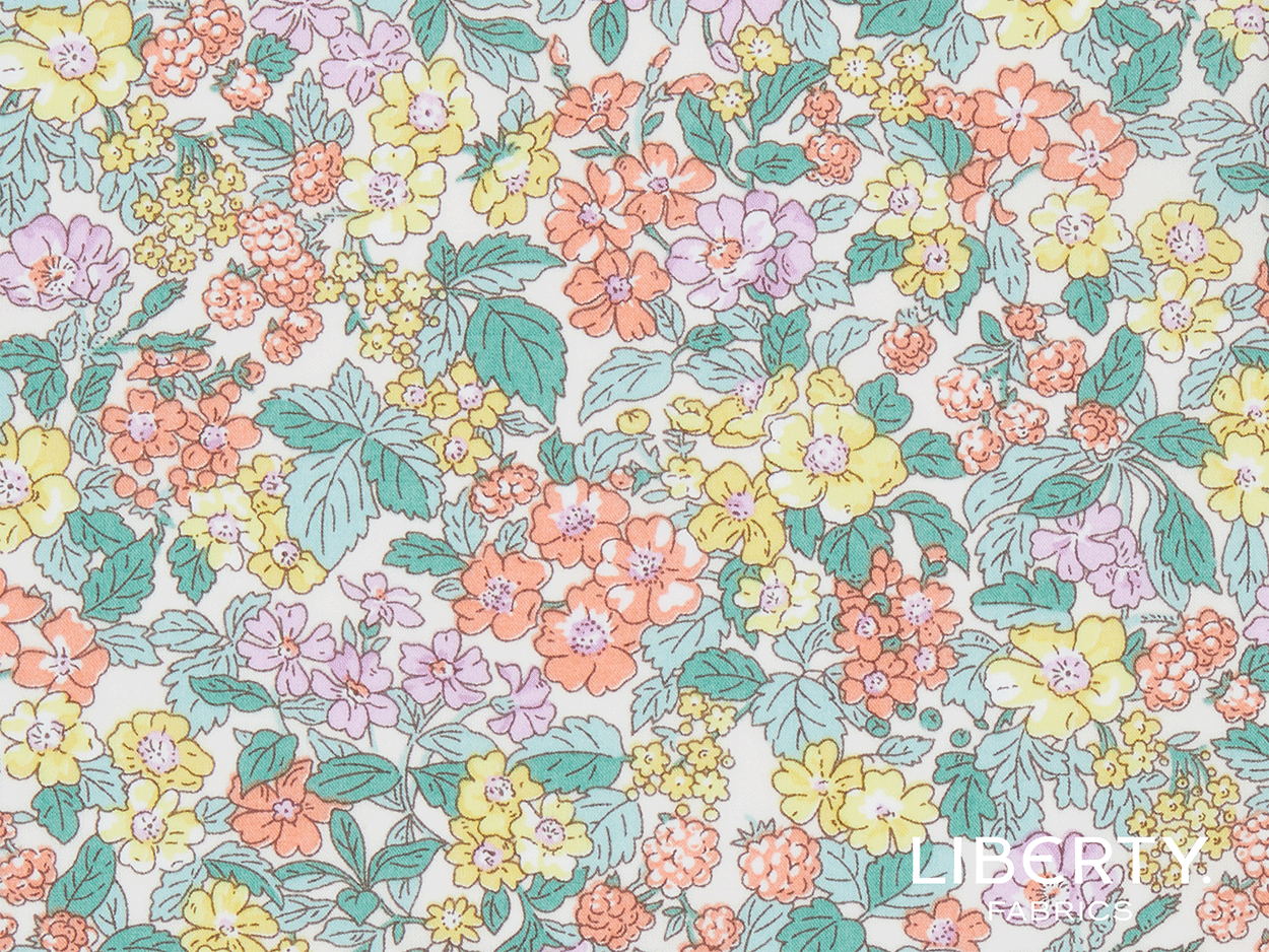 03634106B-1-hedgerow-ramble