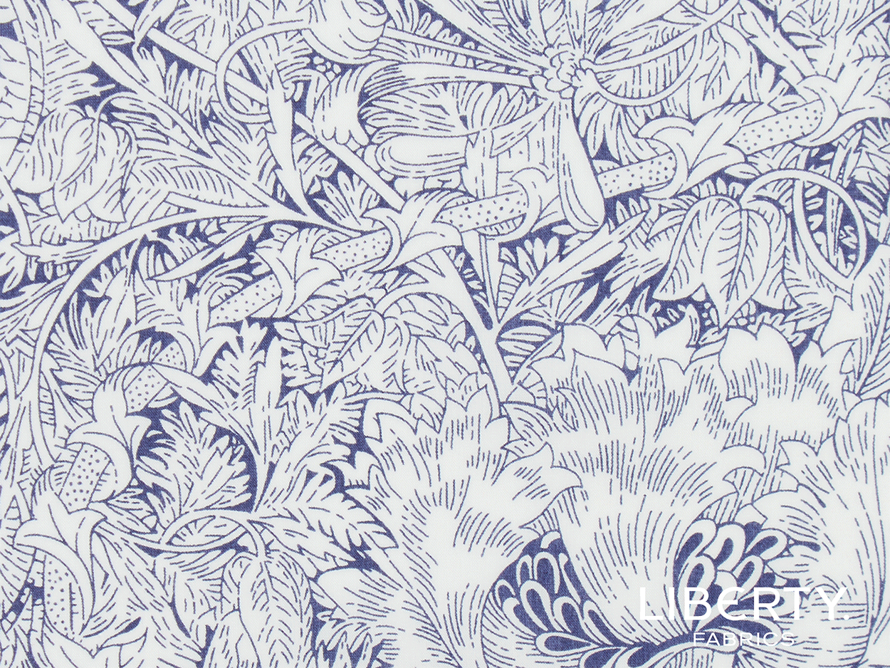 03634139A-1indigo-morris