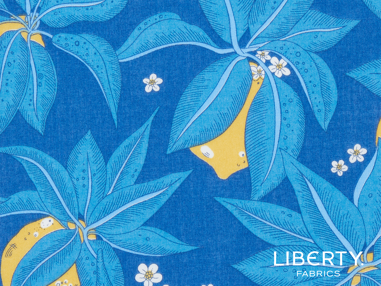 03634195B-1citron-presse