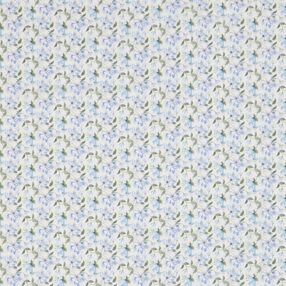 HONE C