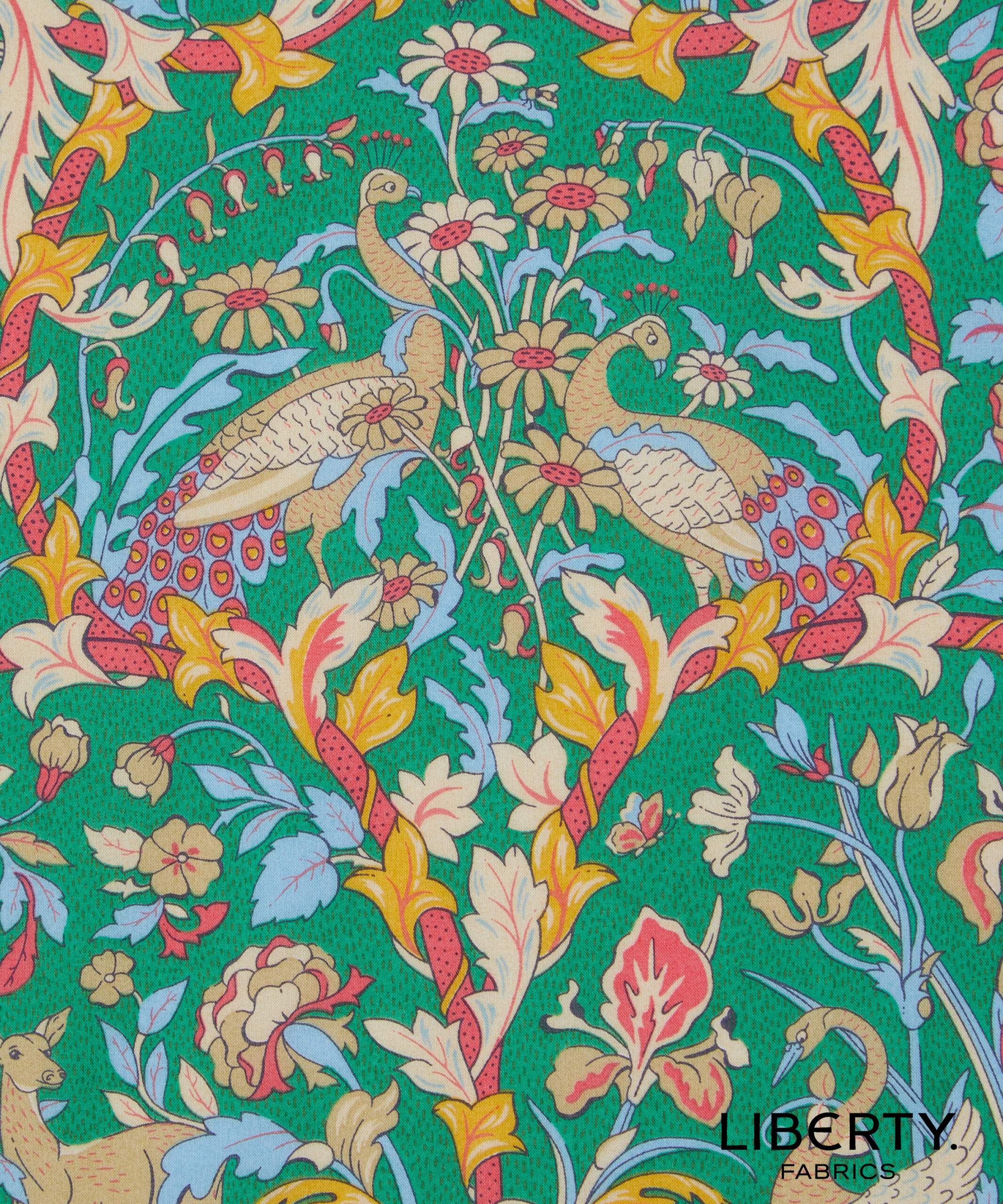 Aw25 From the studio - Liberty TanaLawn