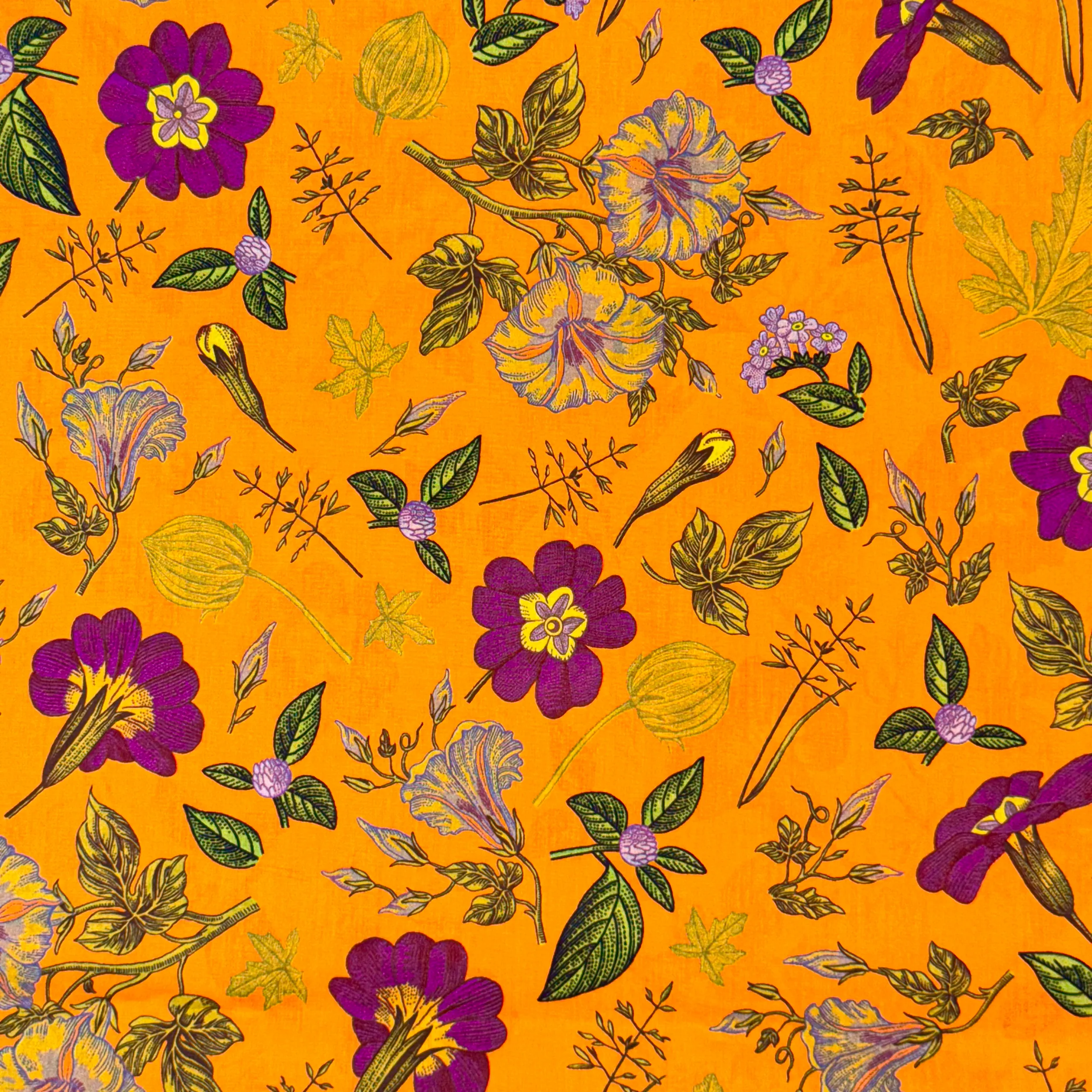 shaukat Cotton Lawn
