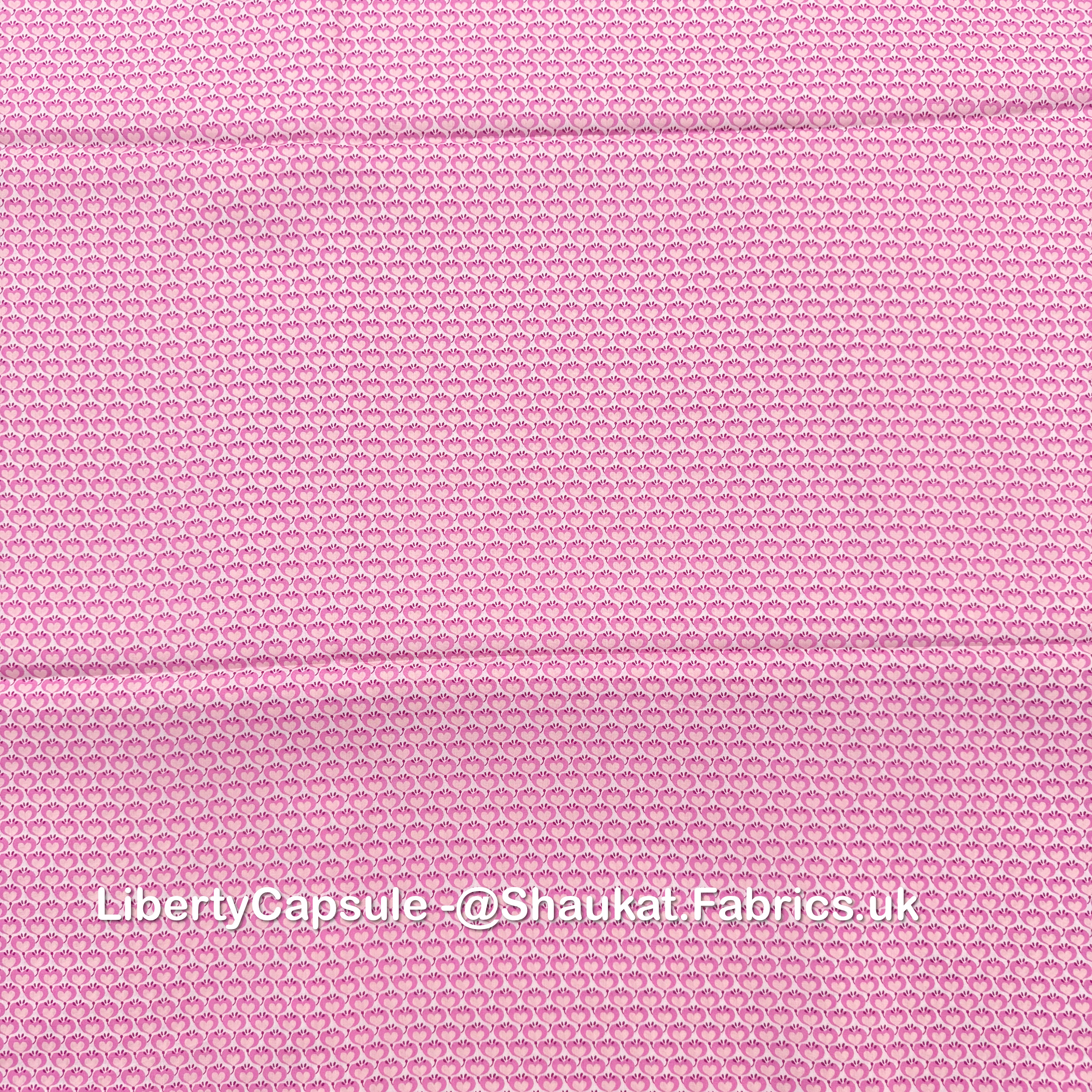 IMG_4537